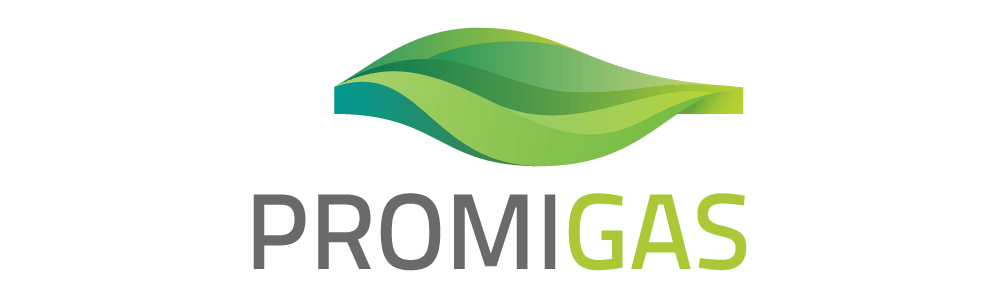 LOGO PROMIGAS
