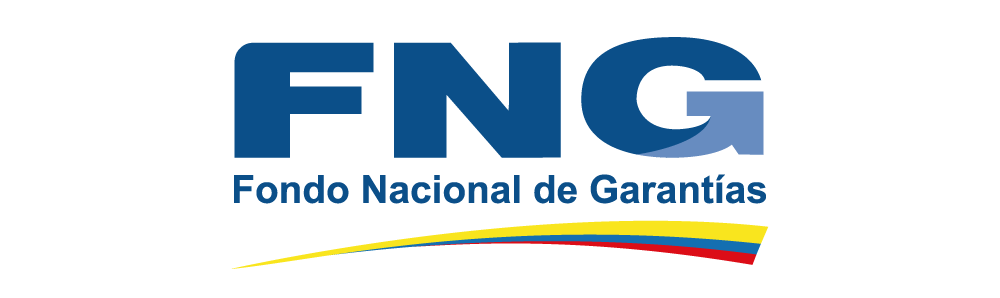 11. FNG Fondo Nacional De Garantías