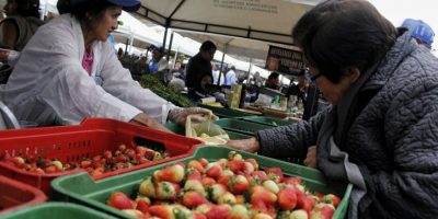 15 Mercado Campesino Ens