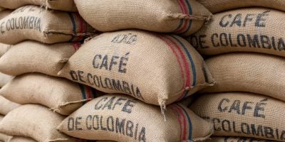 The Burlap Coffee Sacks Stacked High in a Rustic Colombian Warehouse