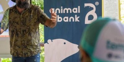Animal Bank