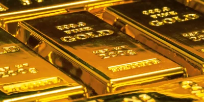 ORO-DÓLAR-ANIF-portada